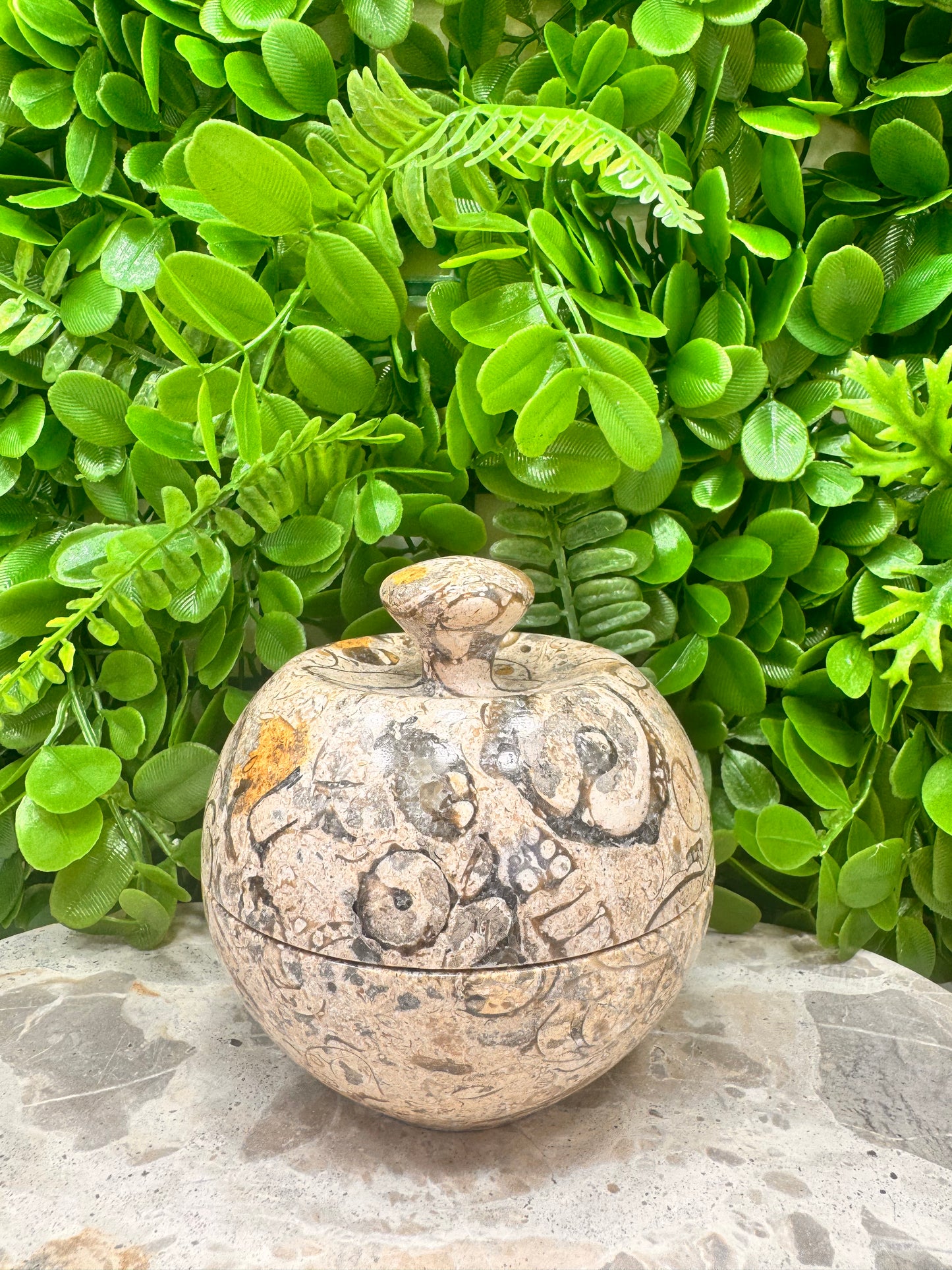 Shell Jasper Apple Bowl with Lid 556g