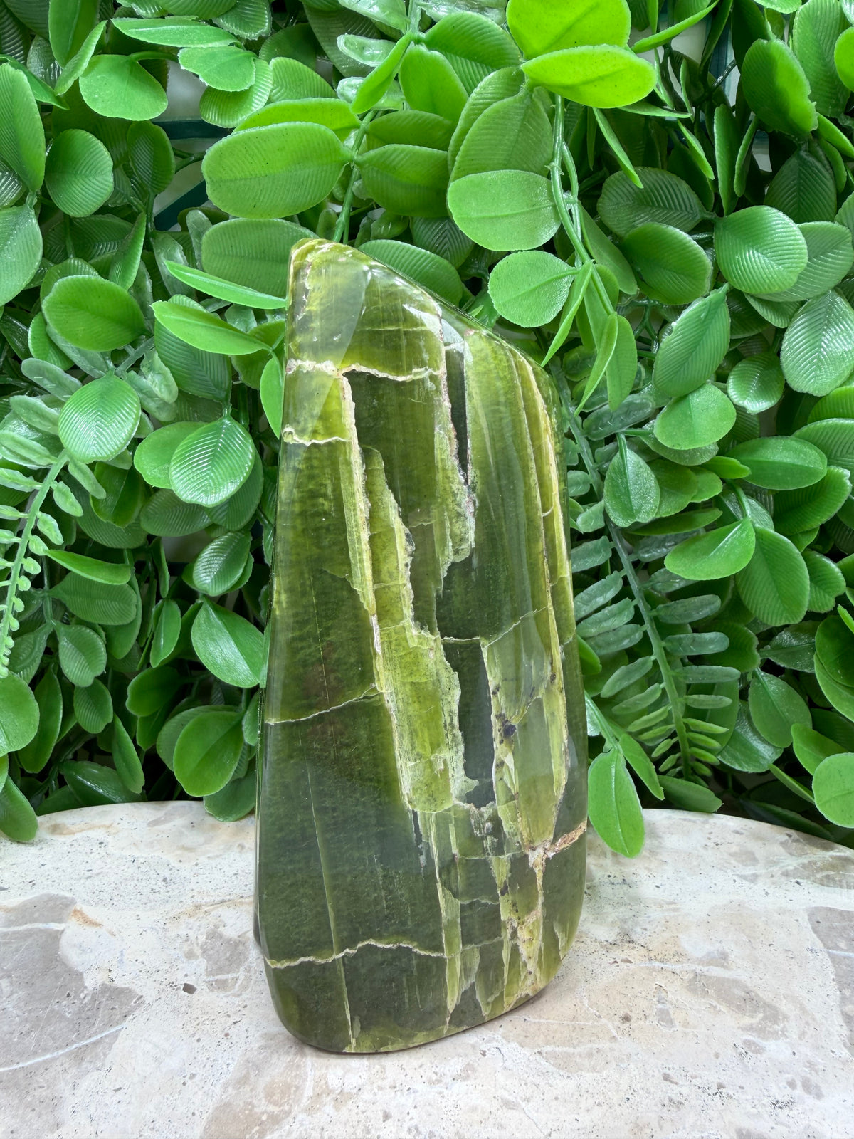 Tremolite Freeform | Calm • Balance • Spiritual Growth