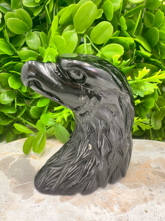 Black Obsidian Eagle 620g