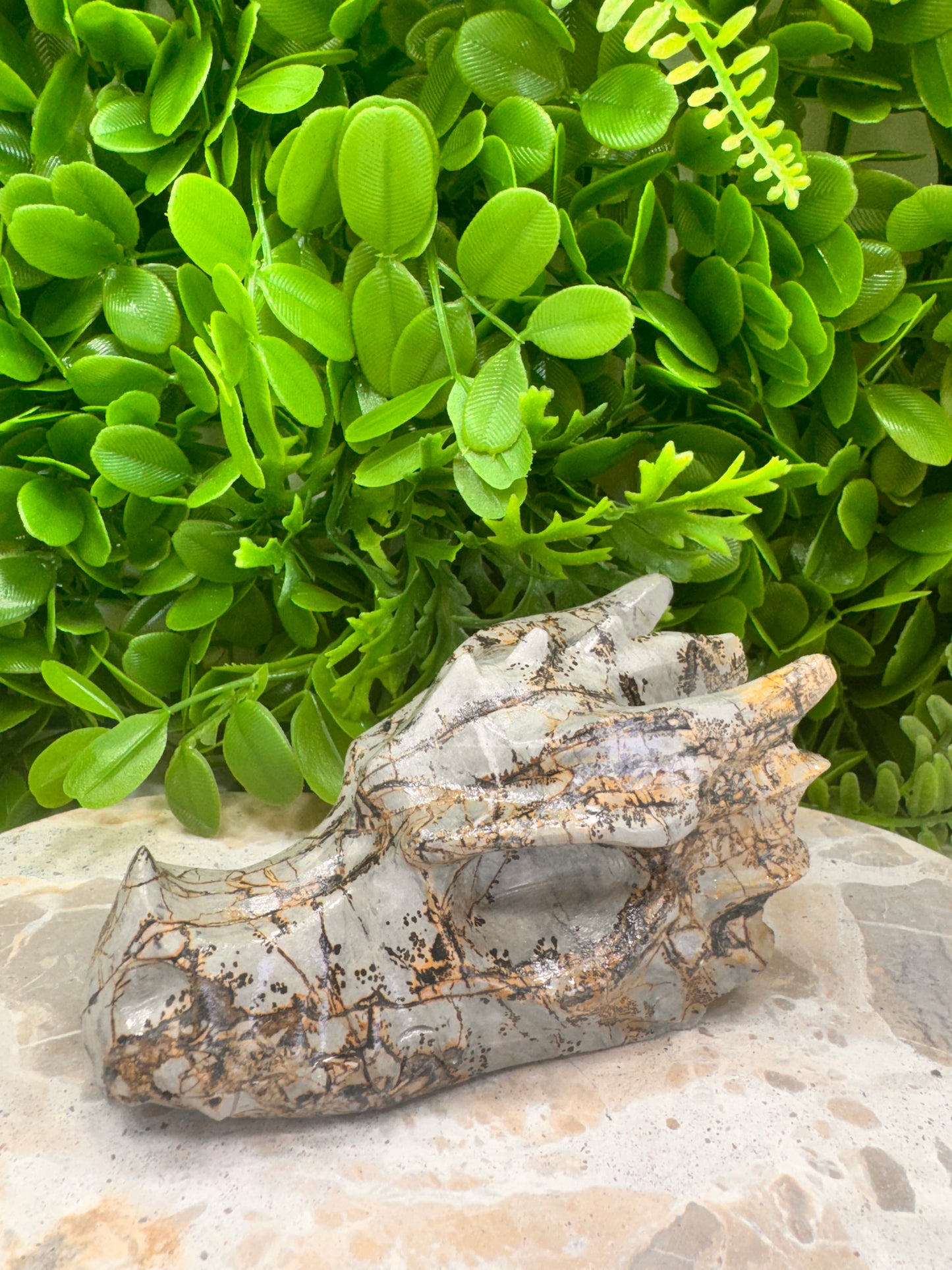 Picture Jasper Dragon Skull 530g