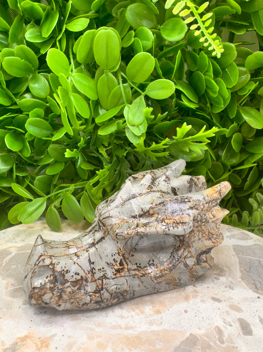 Picture Jasper Dragon Skull 530g