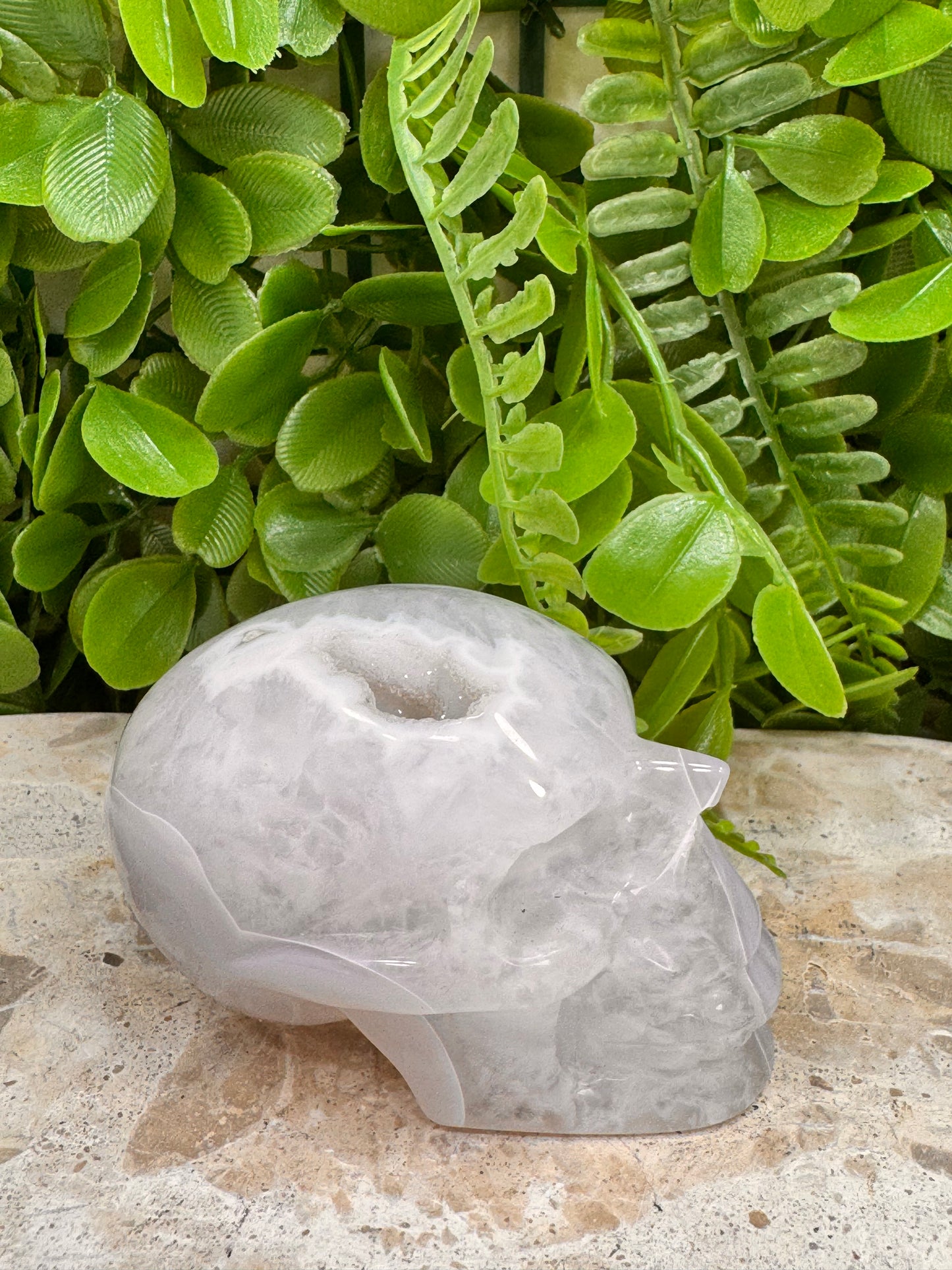 Agate Druzy Skull 266g