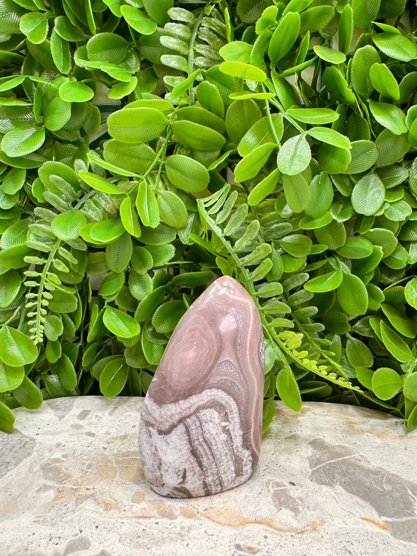 Chocolate Aragonite Freeform 166g