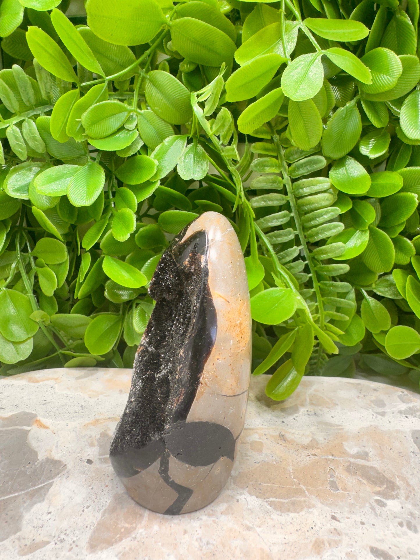 Septarian Freeform 316g