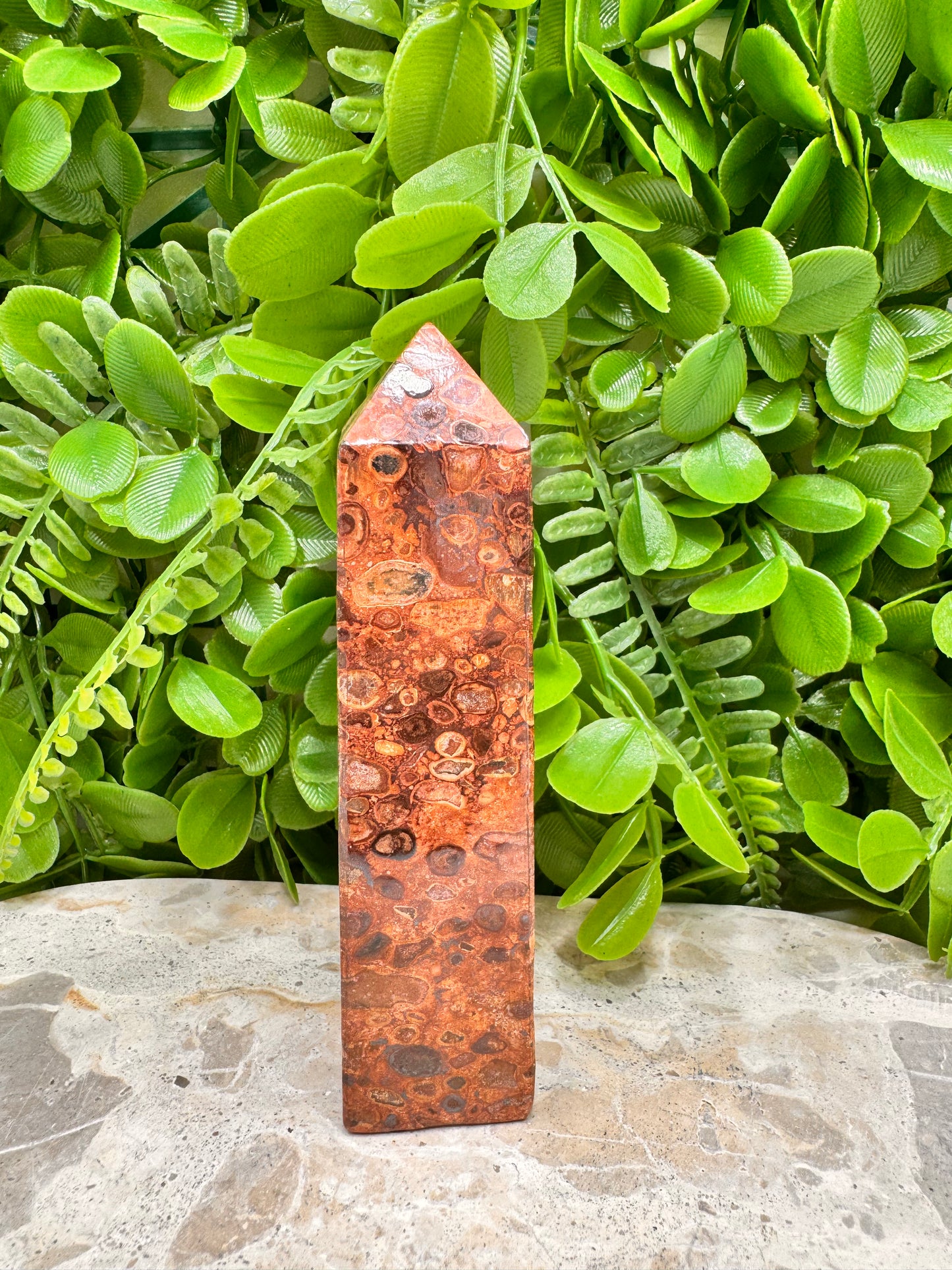 Coral Fossil Jasper Tower 236g
