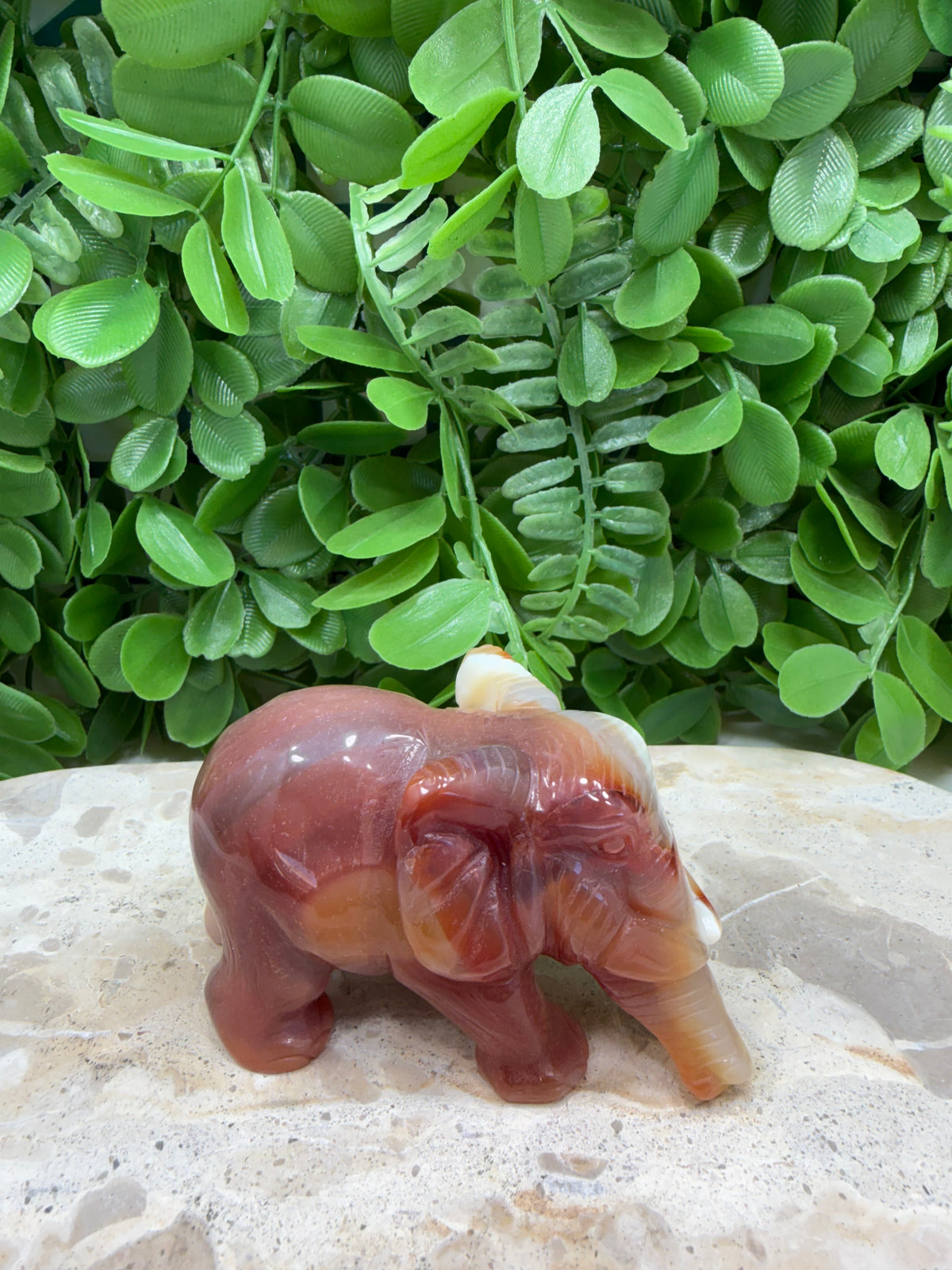 Carnelian Elephant 226g | Motivation • Confidence • Creativity