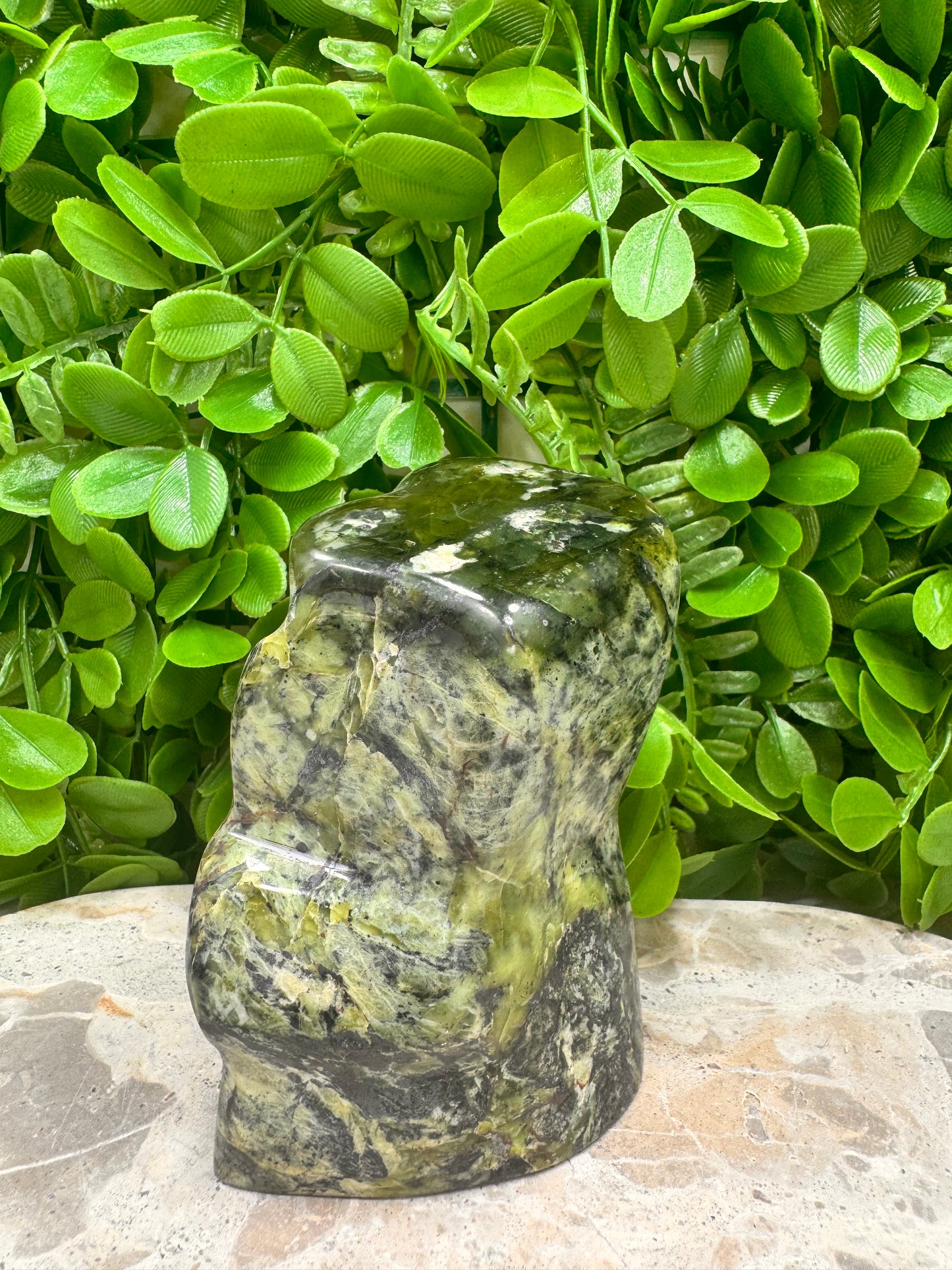 Nephrite Jade Freeform 710g