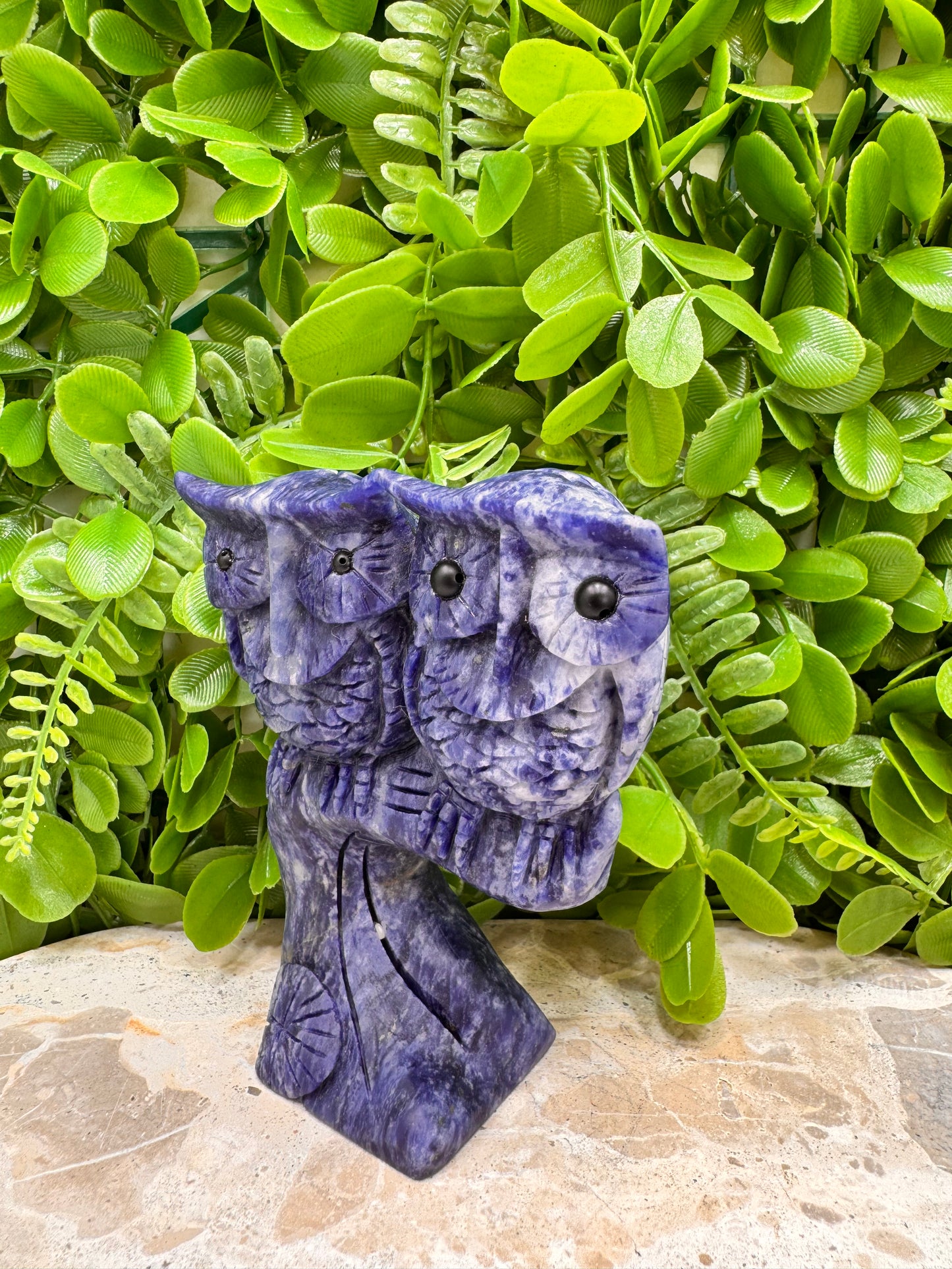 Twin Owl Sodalite 530g