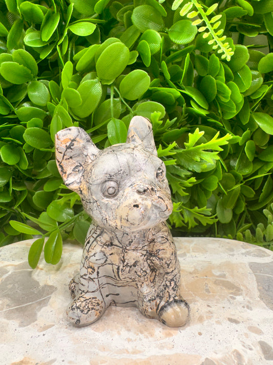 Picture Jasper French Bulldog 517g