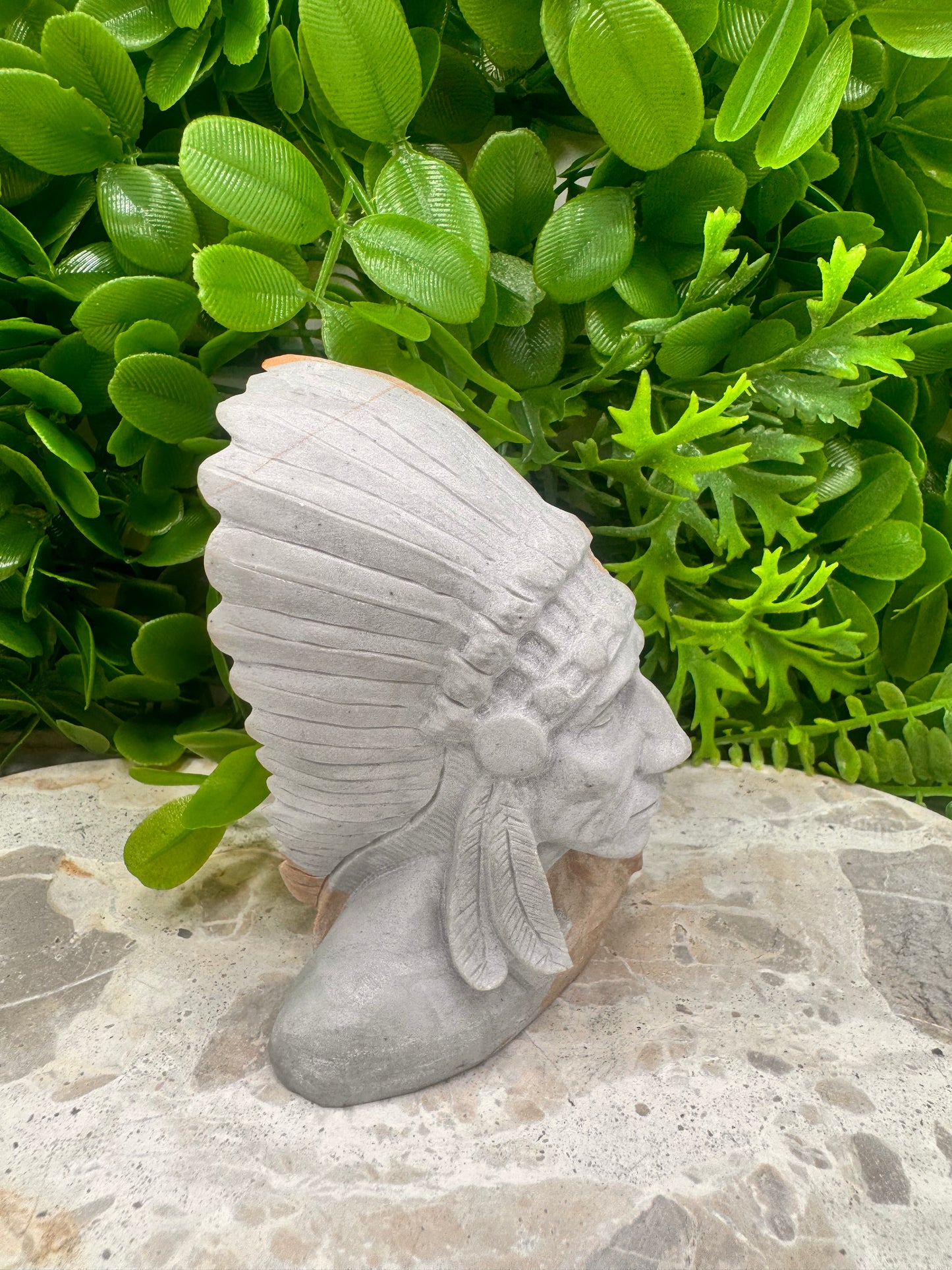 Picture Jasper Chief 380g
