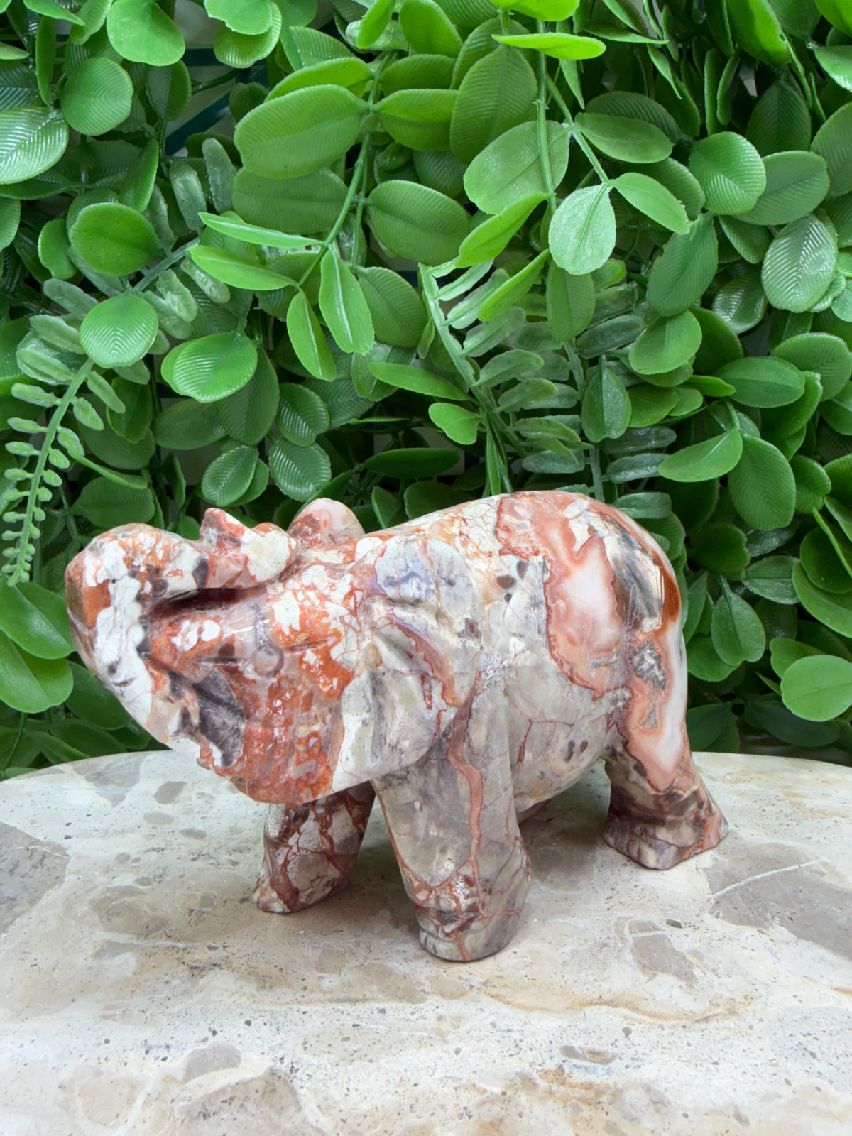 Money Agate Elephant 502g | Intuition • Communication • Clarity
