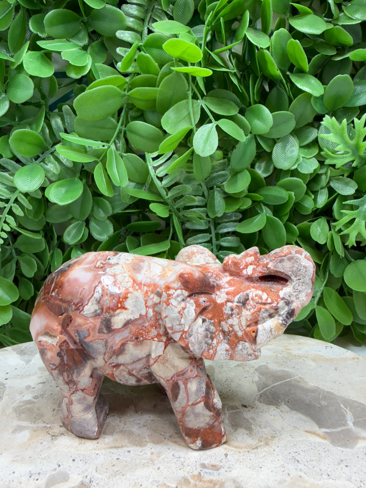 Money Agate Elephant 502g | Intuition • Communication • Clarity