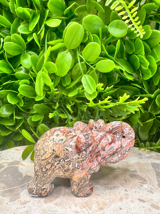 Red Leopard Skin Jasper Elephant 326g
