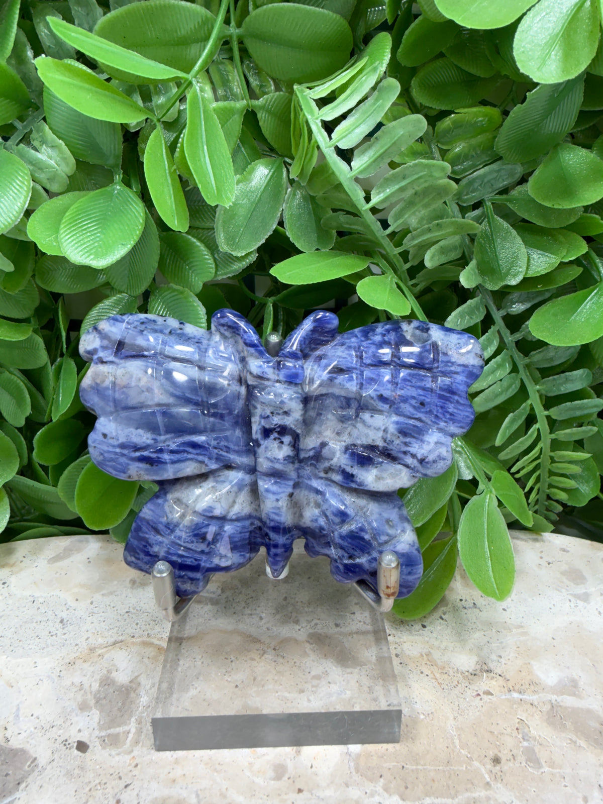 Sodalite Butterfly | Intuition • Communication • Clarity