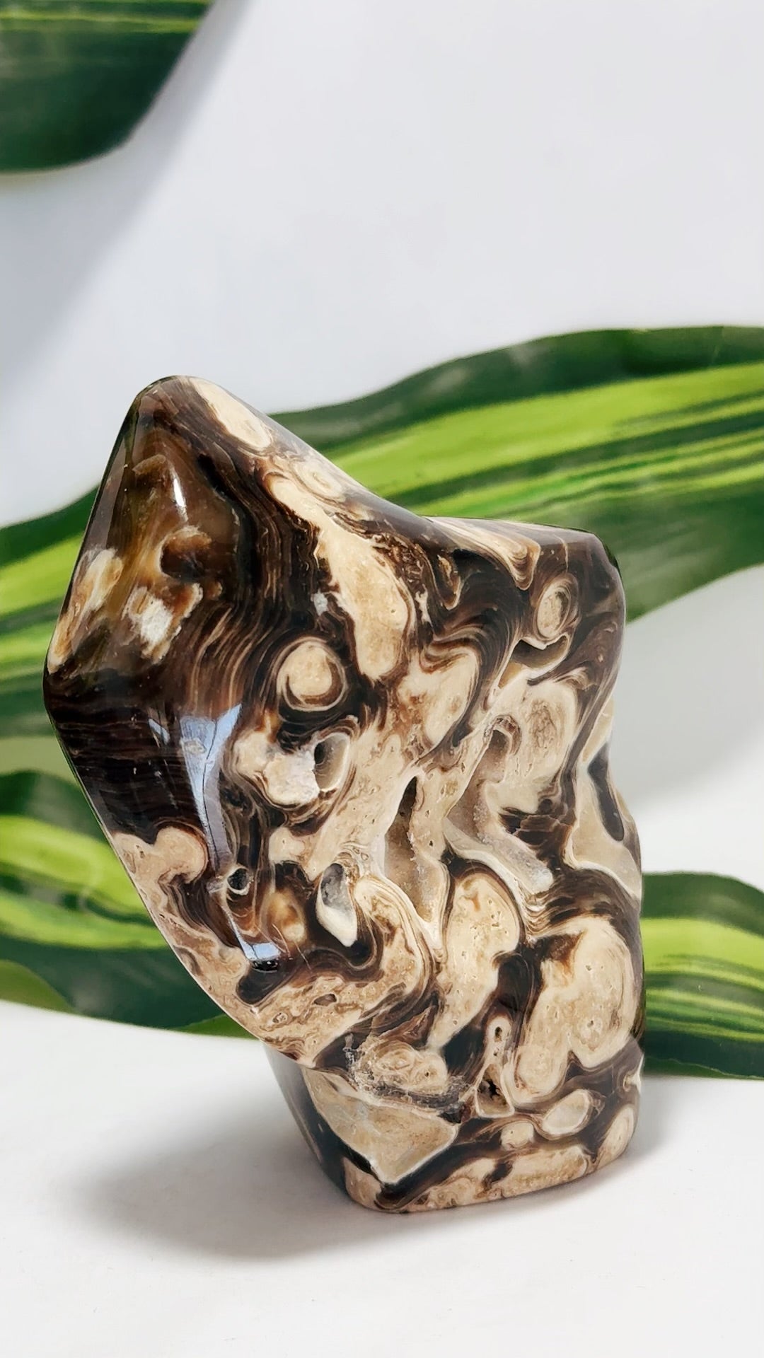 Chocolate Calcite Freeform 484g