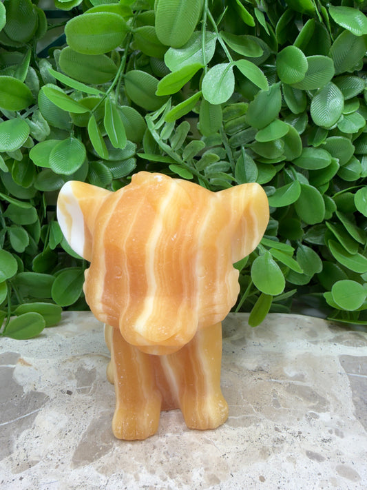 Orange Banded Calcite Lion Cub 554g