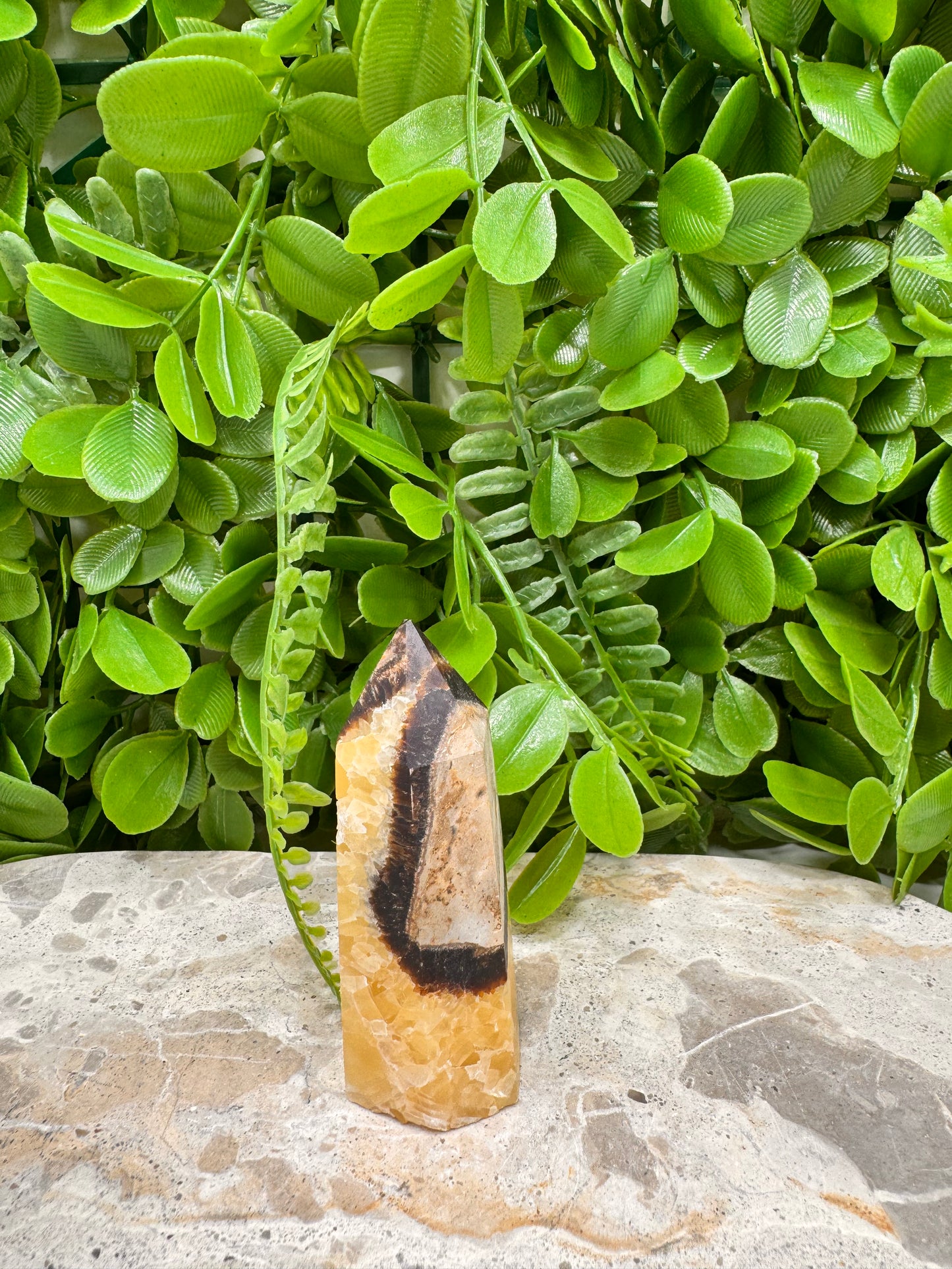 Septarian Dragon Stone Point 88g