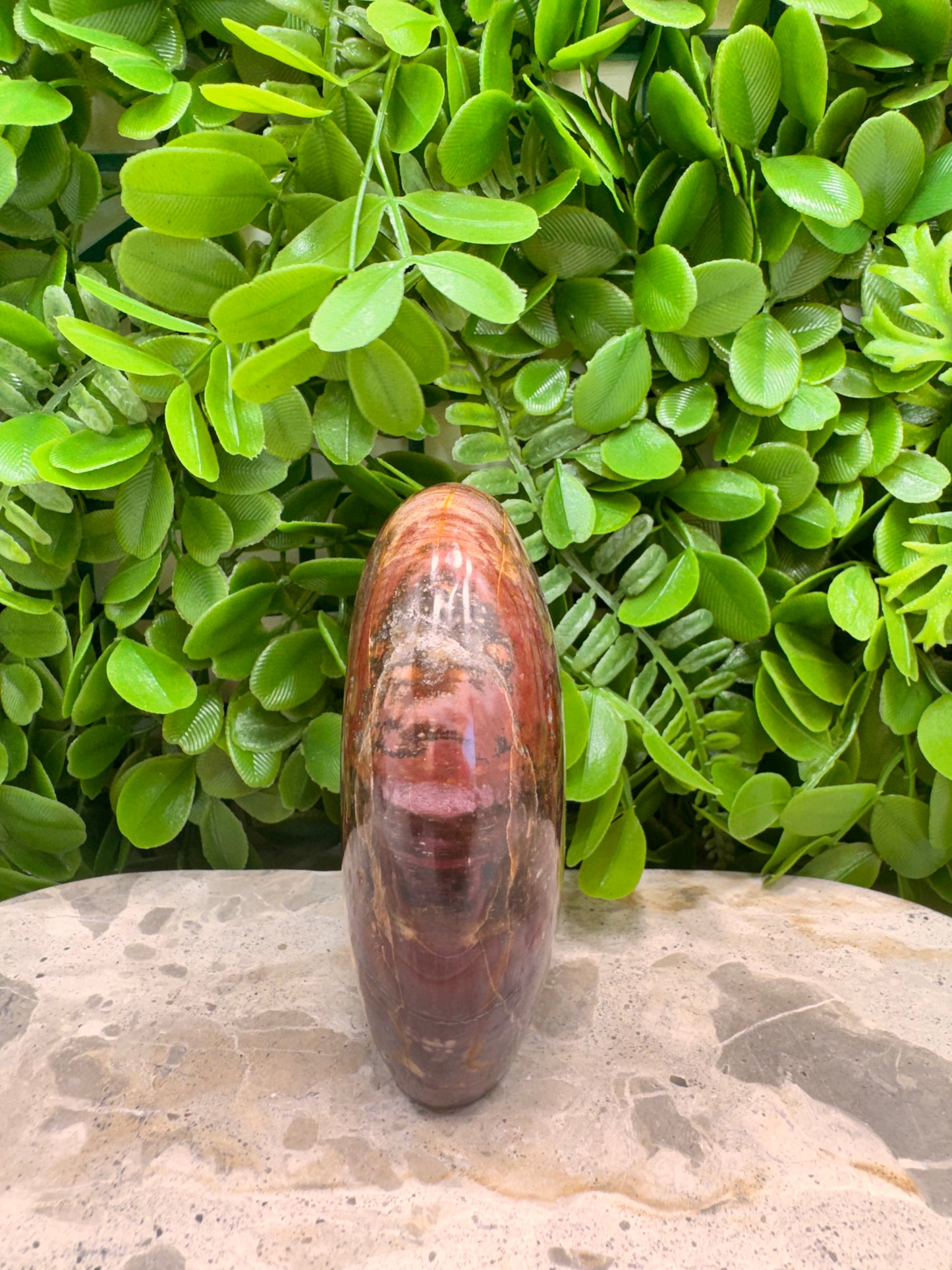 Petrified Wood Freeform 566g