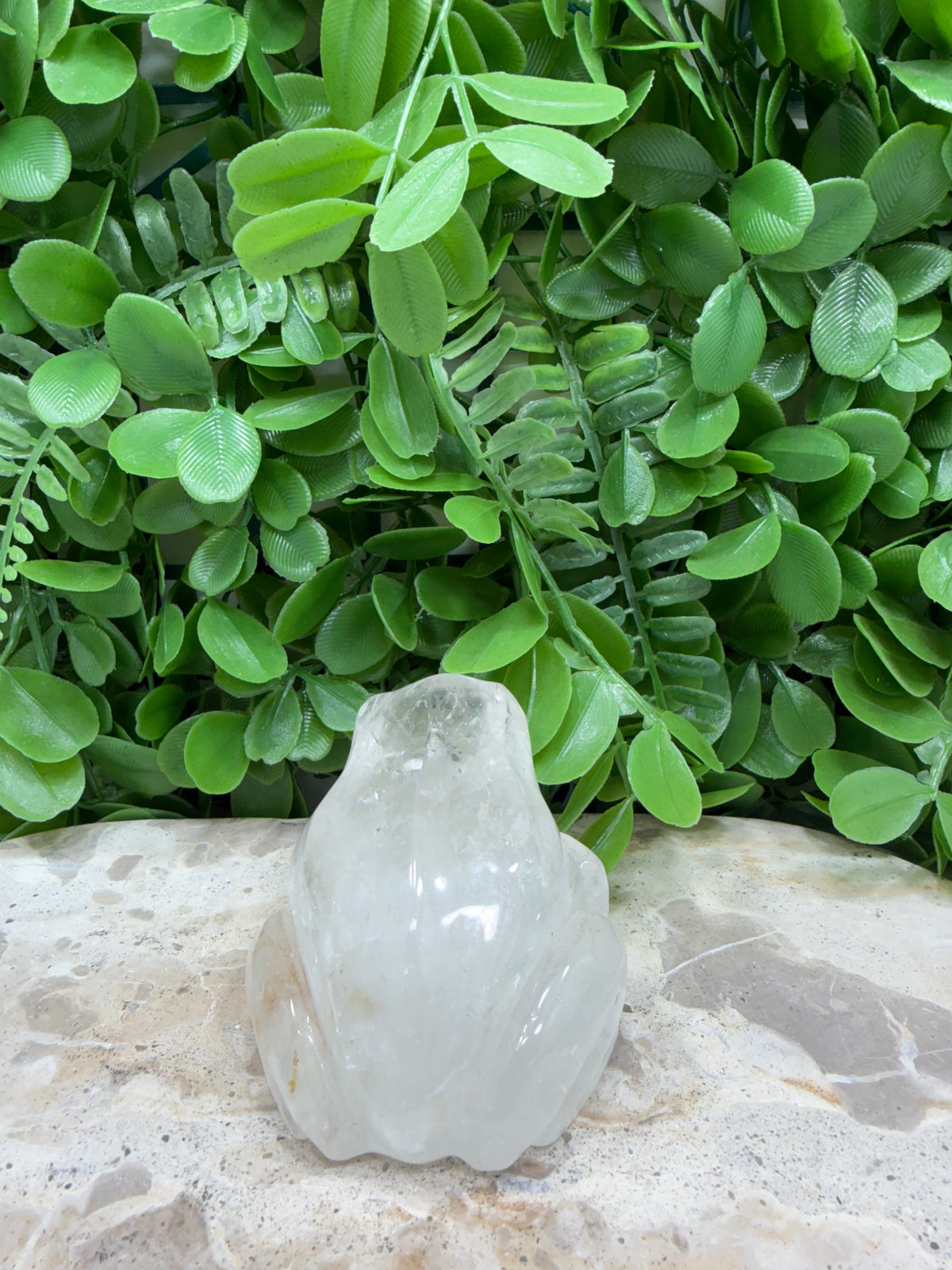 Clear Quartz Frog 308g
