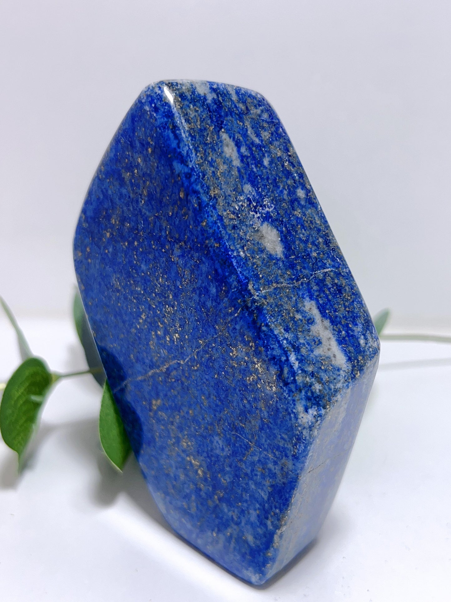 Lapis Lazuli Freeform 341G