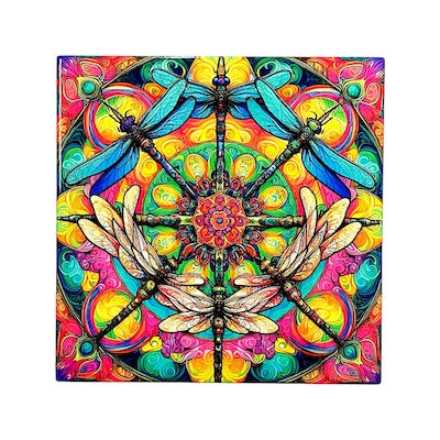 Dragonfly Greeting Single Card