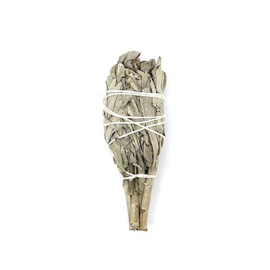 Torch White Sage Smudge Stick