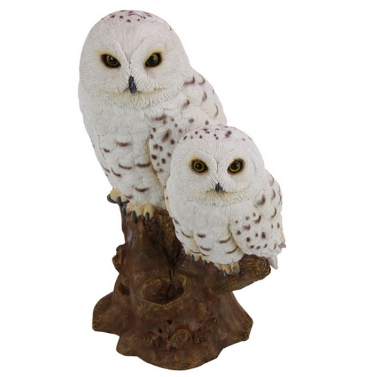 White Owl with Baby on Tree
