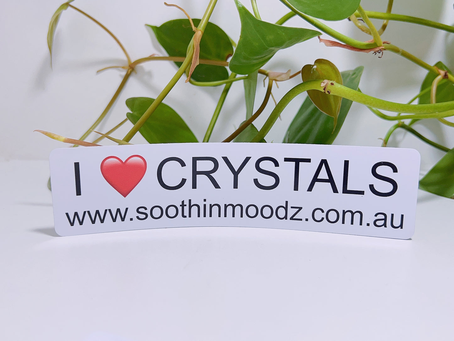 Soothin Moodz Sticker