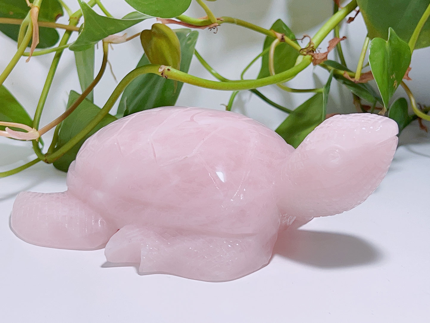 Rose Quartz Turtle 1016G