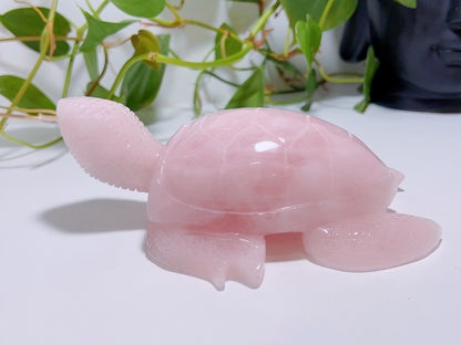 Rose Quartz Turtle 1016G