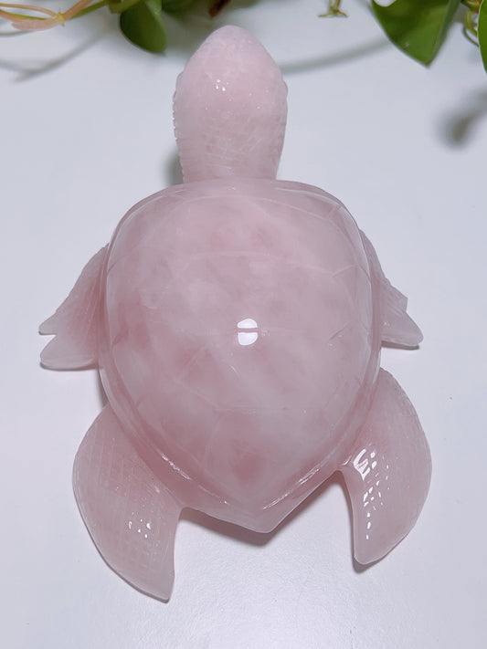 Rose Quartz Turtle 1016G