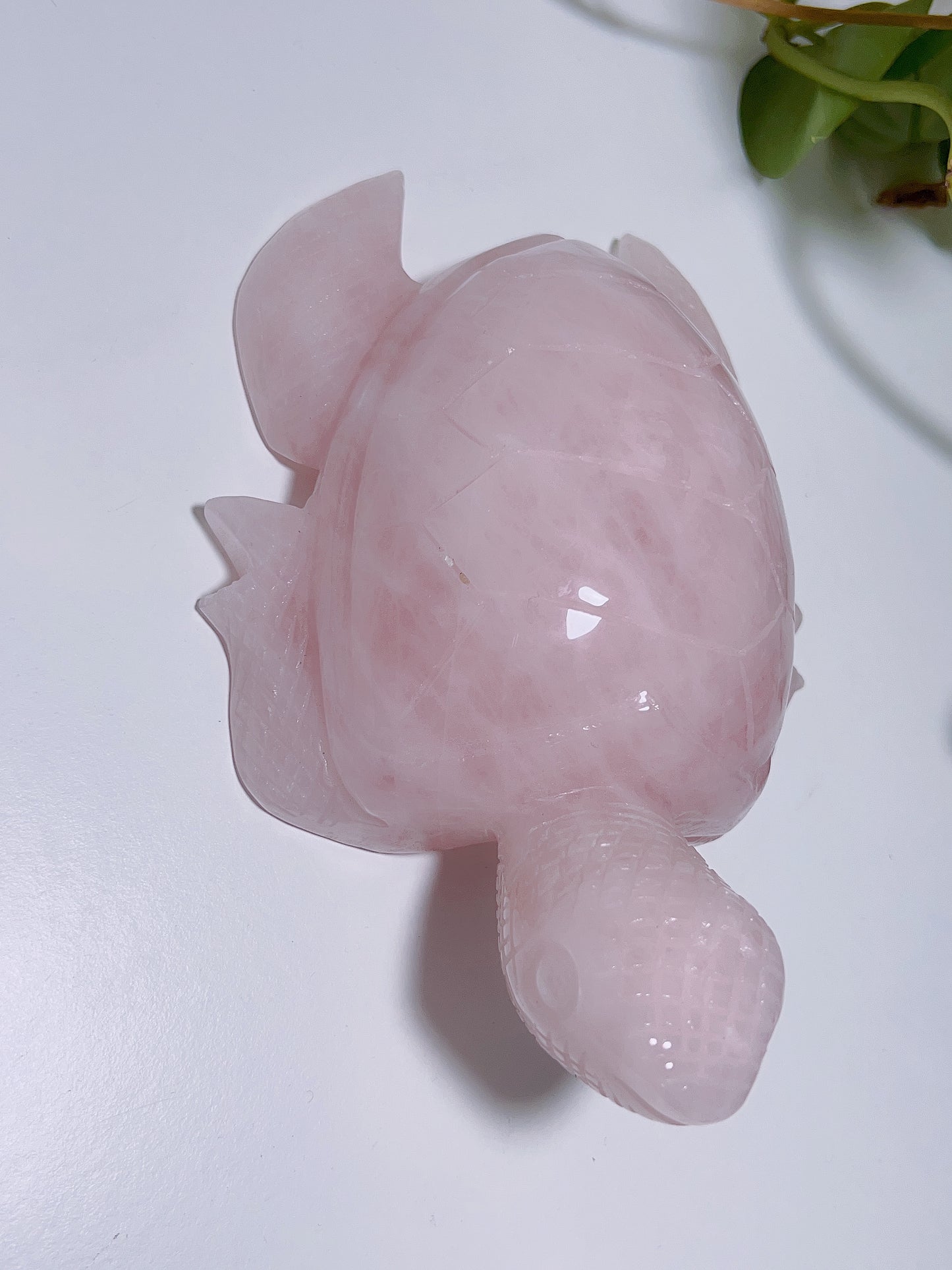 Rose Quartz Turtle 1016G