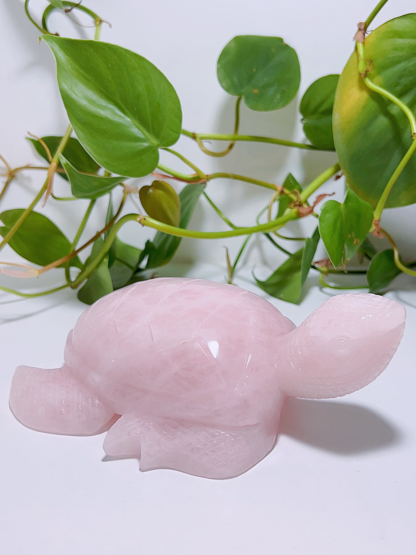 Rose Quartz Turtle 1016G