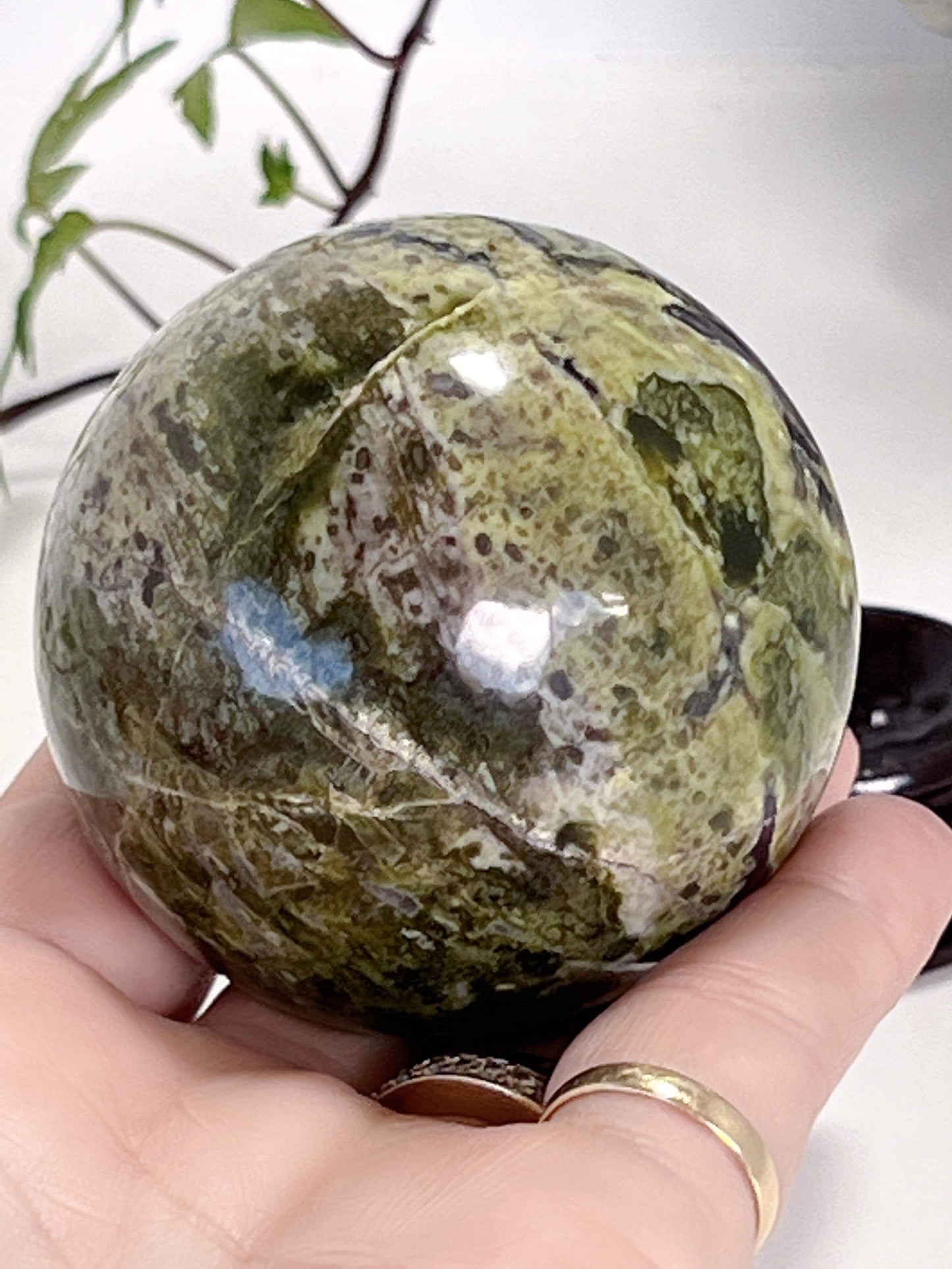 Rare Green Serpentine Sphere 315G