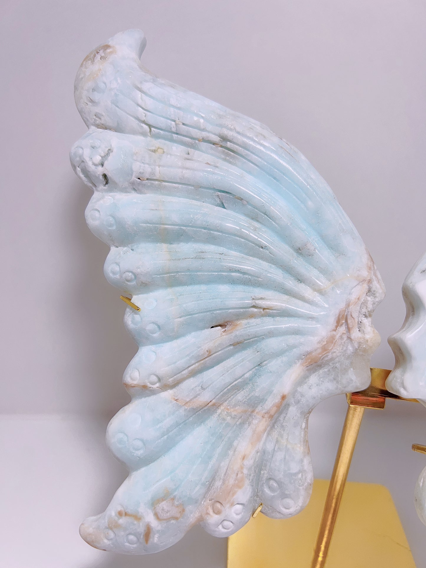Caribbean Calcite Butterfly Wings 955G