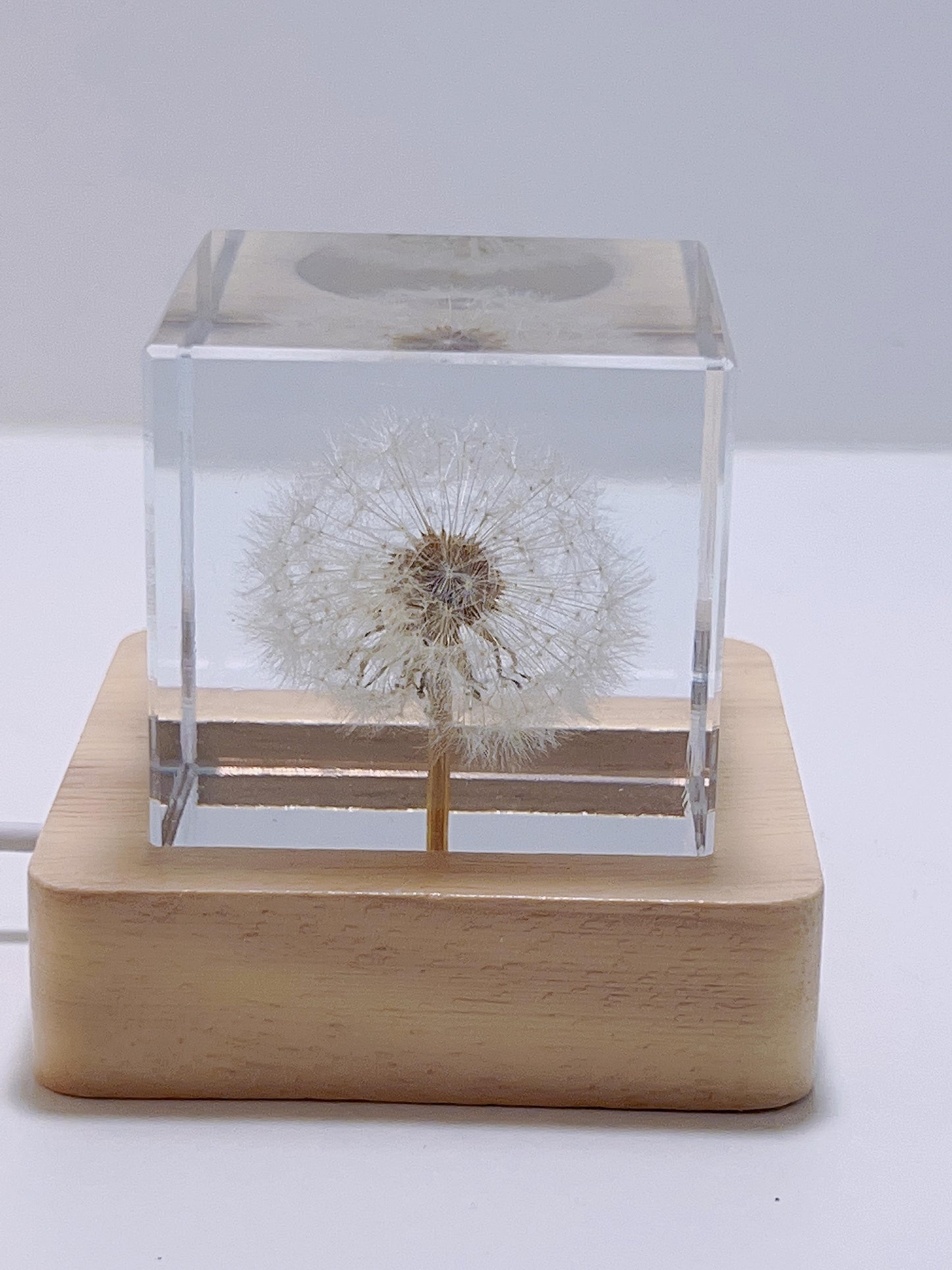 Imortal Flower Lamp - Dandelion Cube