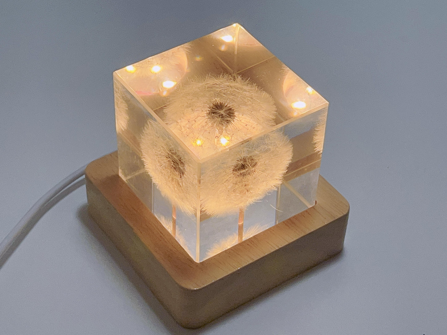Imortal Flower Lamp - Dandelion Cube