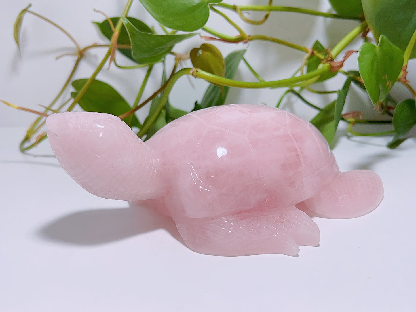 Rose Quartz Turtle 1016G