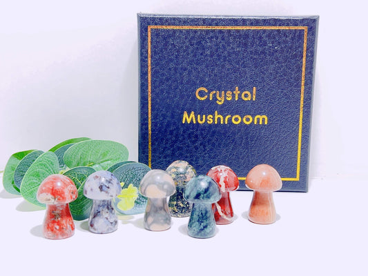 Mushroom Crystal Gift Pack
