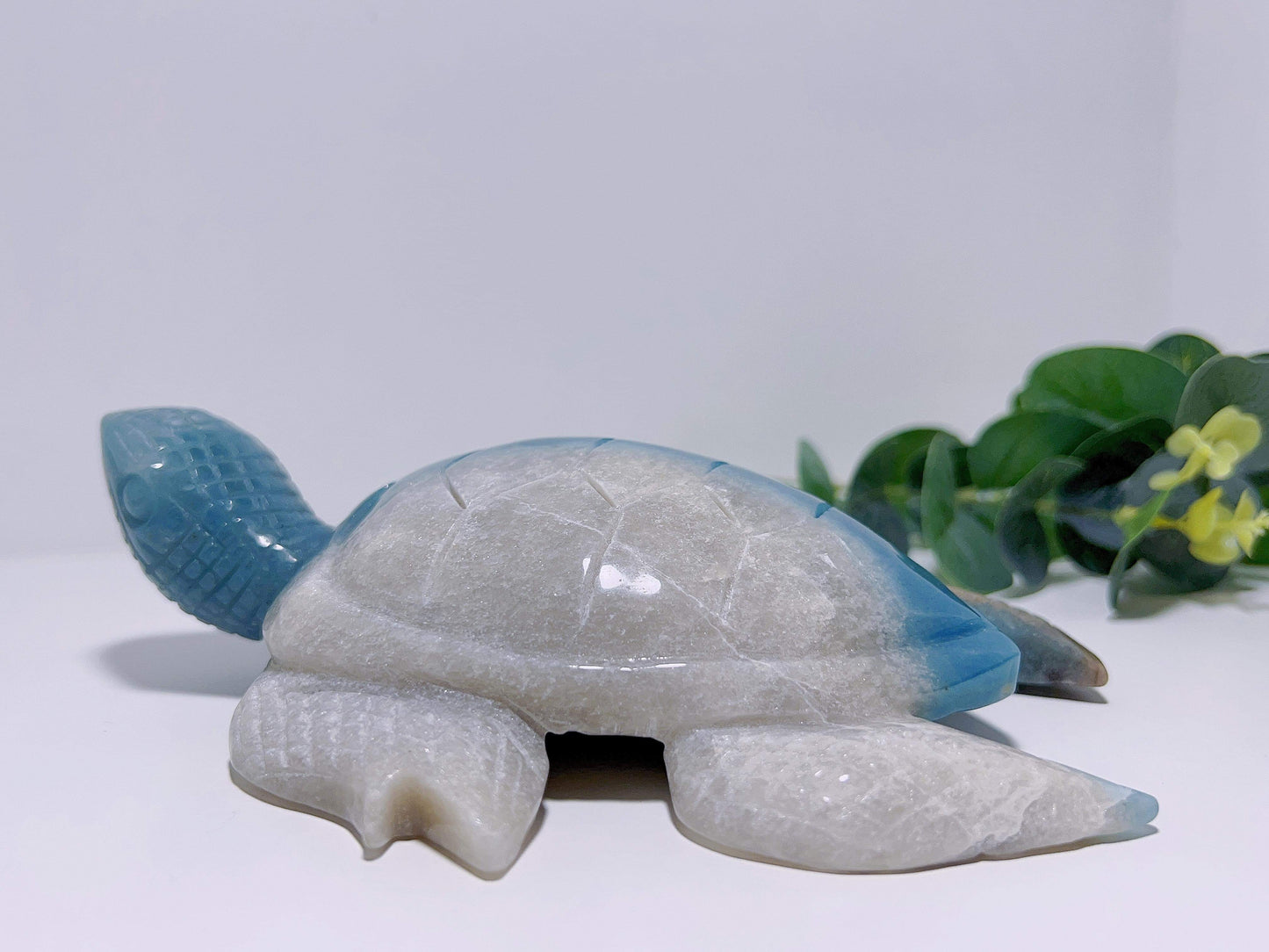 Trolleite Turtle 750G