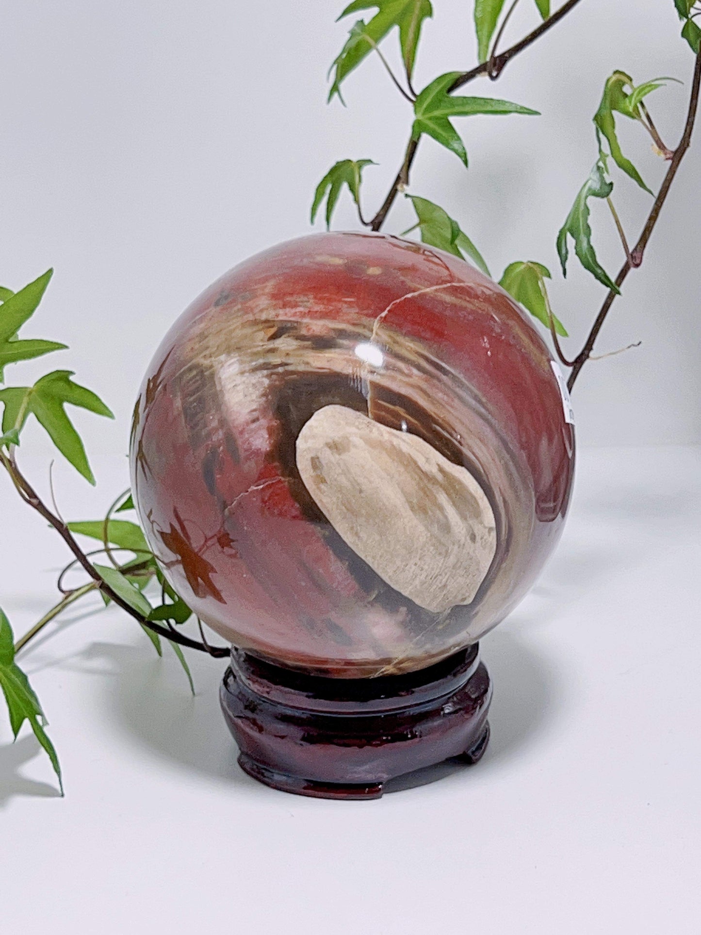 Petrified Wood Sphere 898G