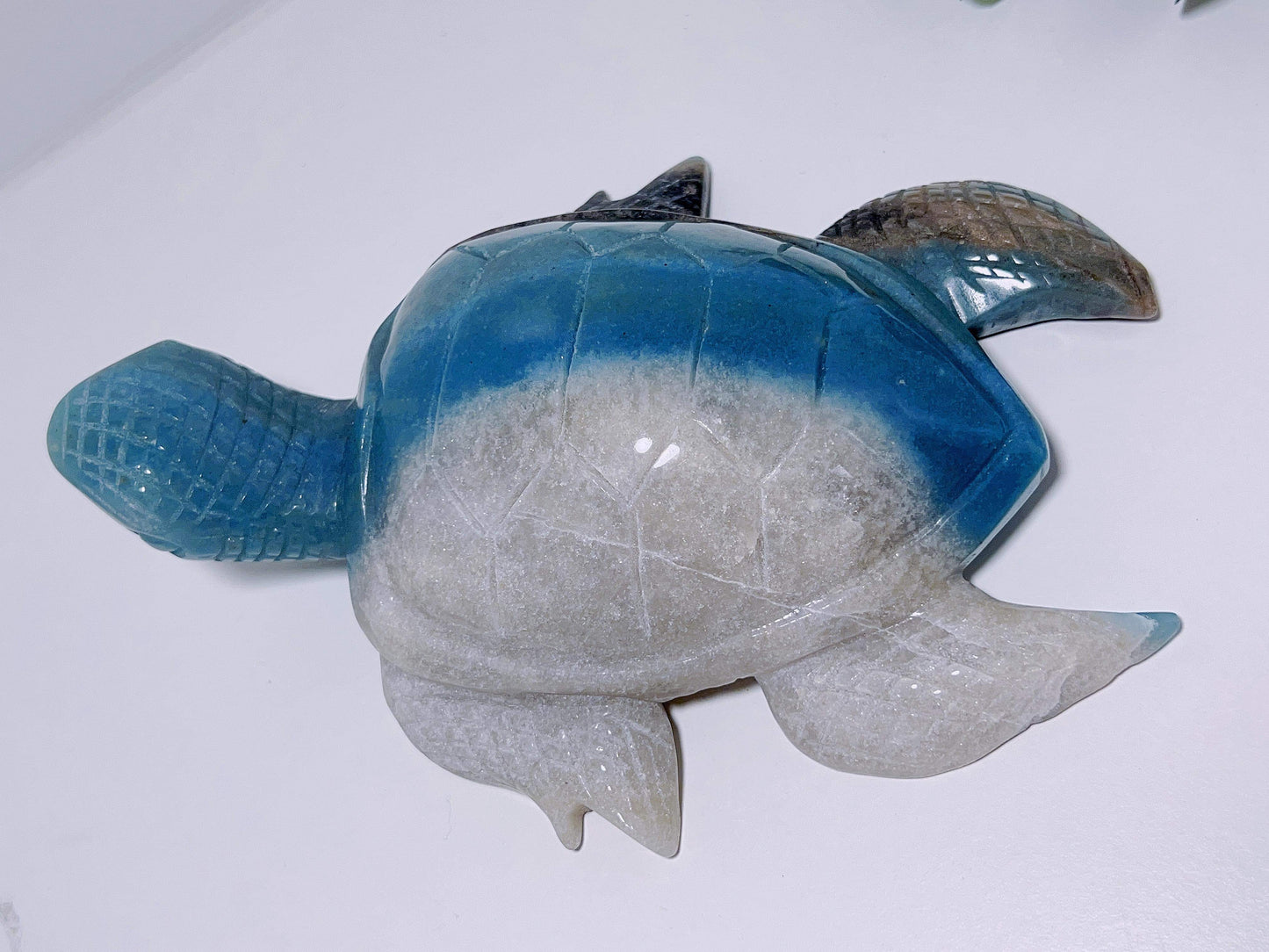Trolleite Turtle 750G