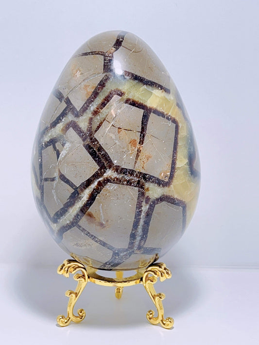 Septarian Egg 1.9kg
