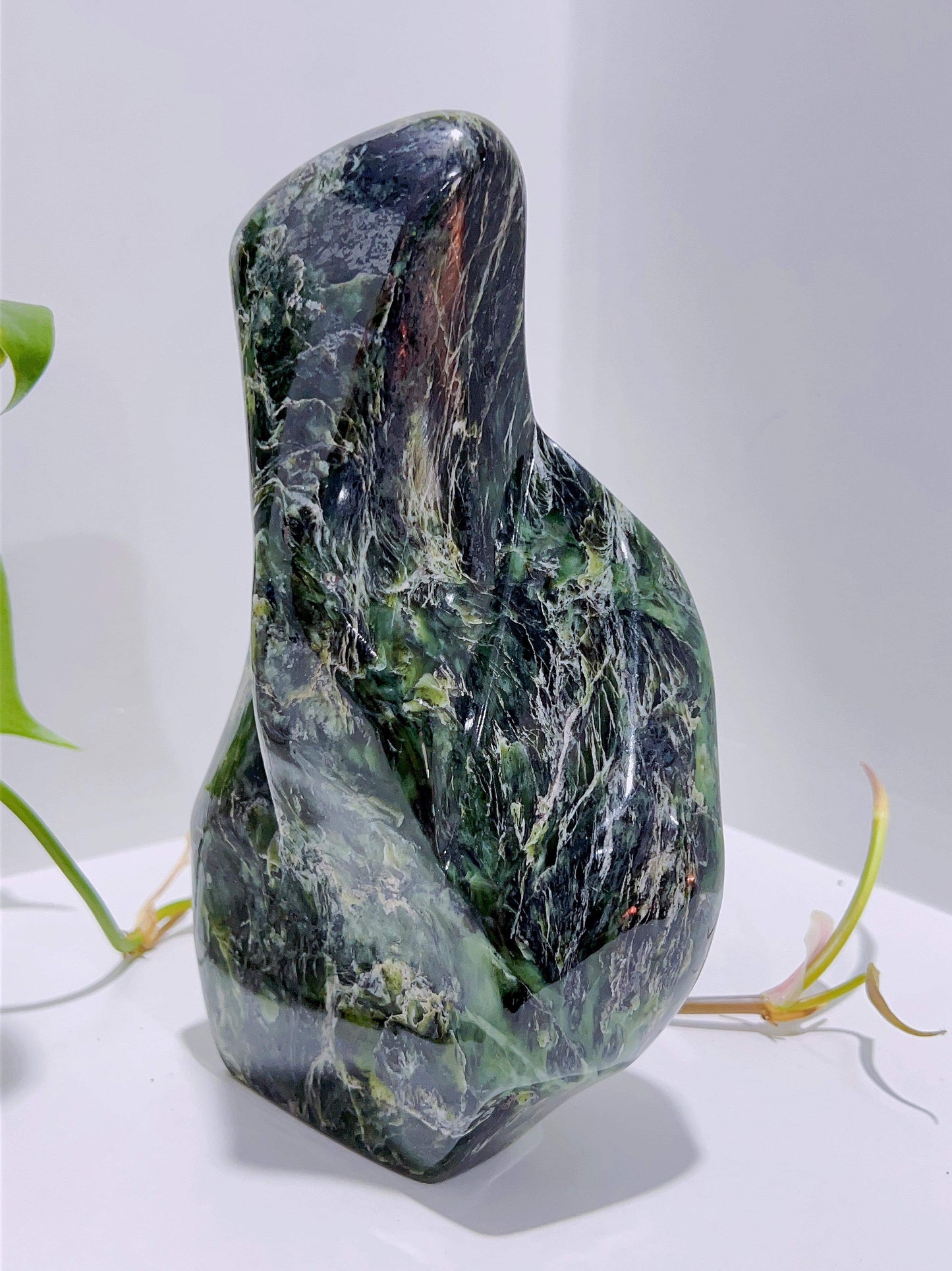 Serpentine Freeform 1750G