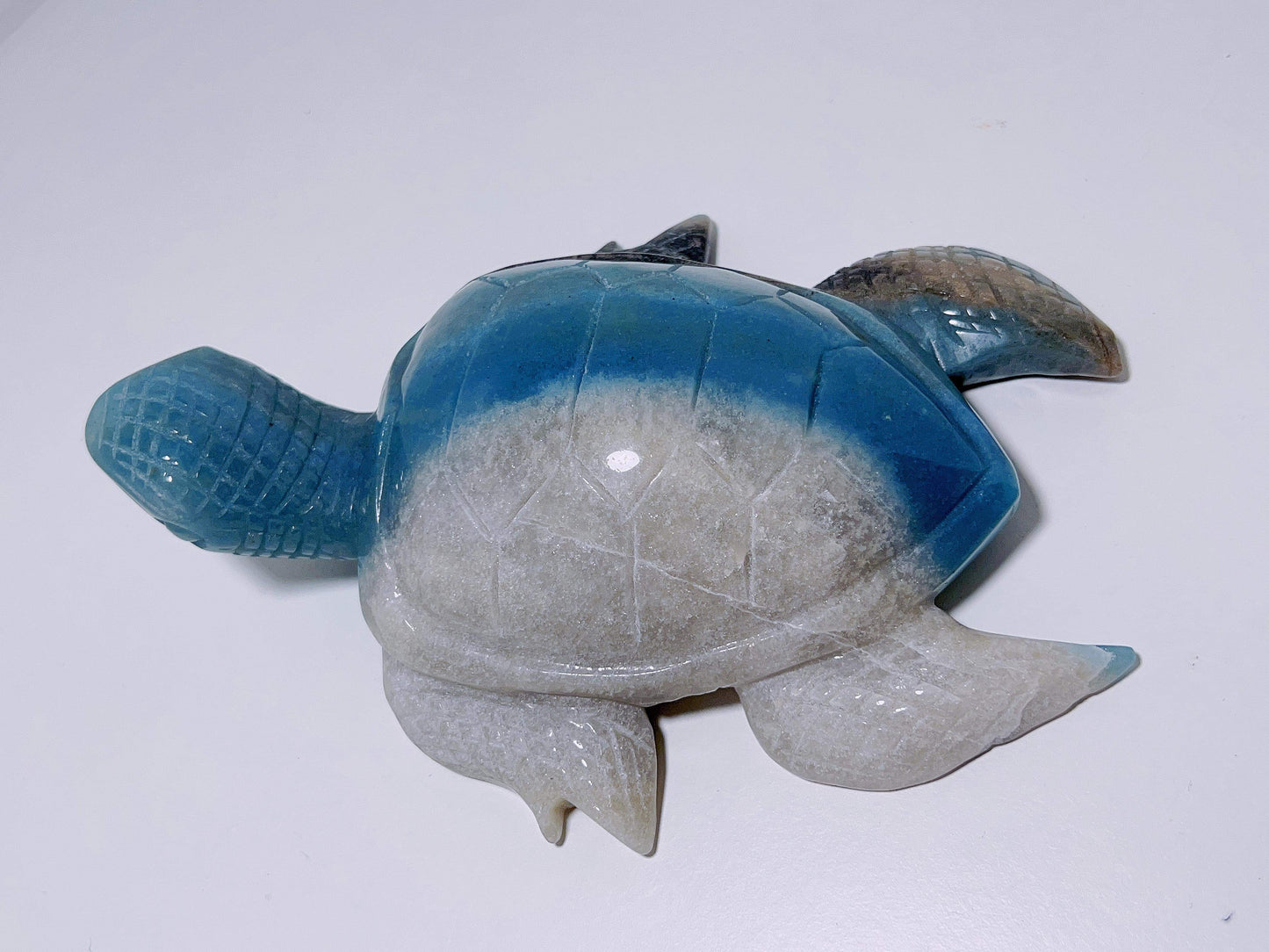 Trolleite Turtle 750G