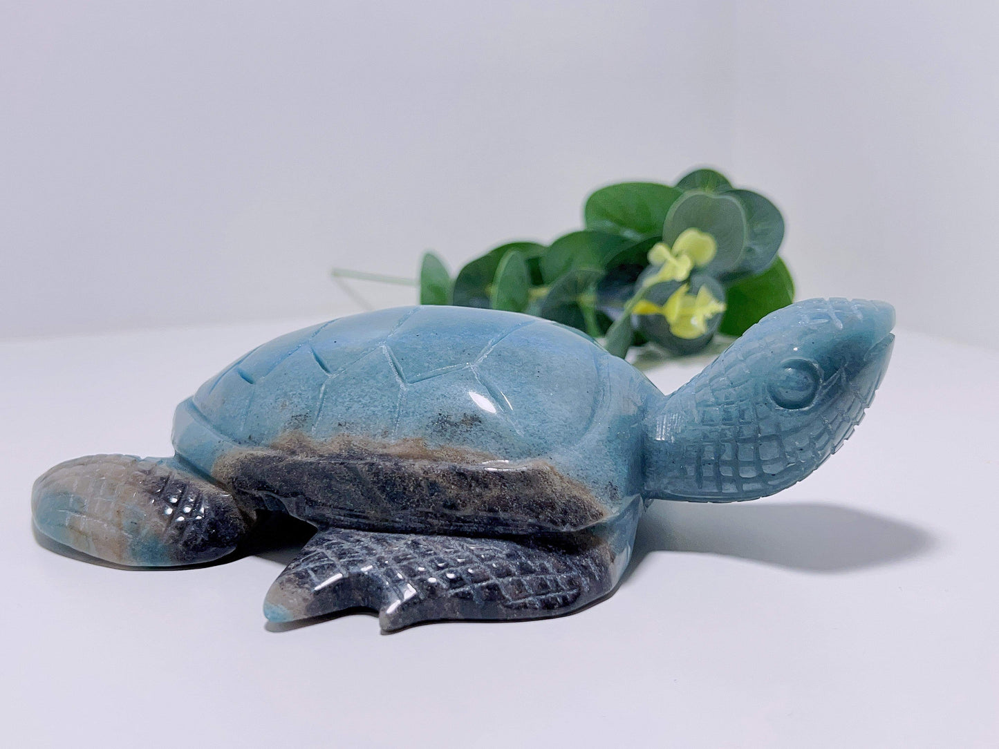 Trolleite Turtle 750G