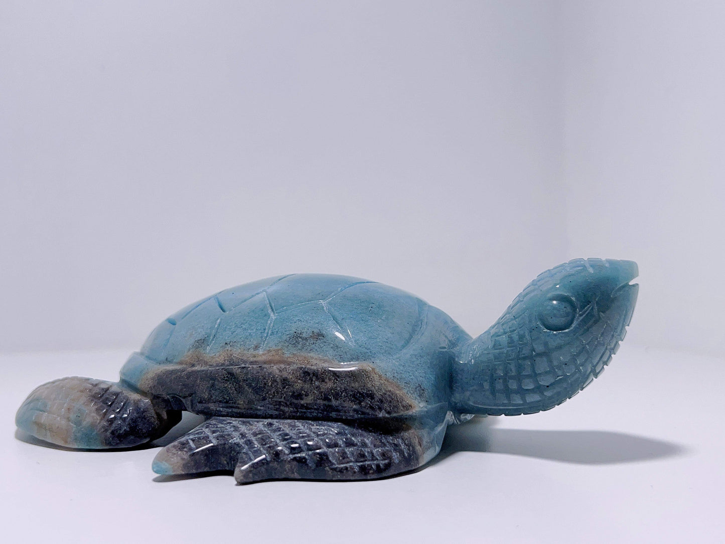 Trolleite Turtle 750G