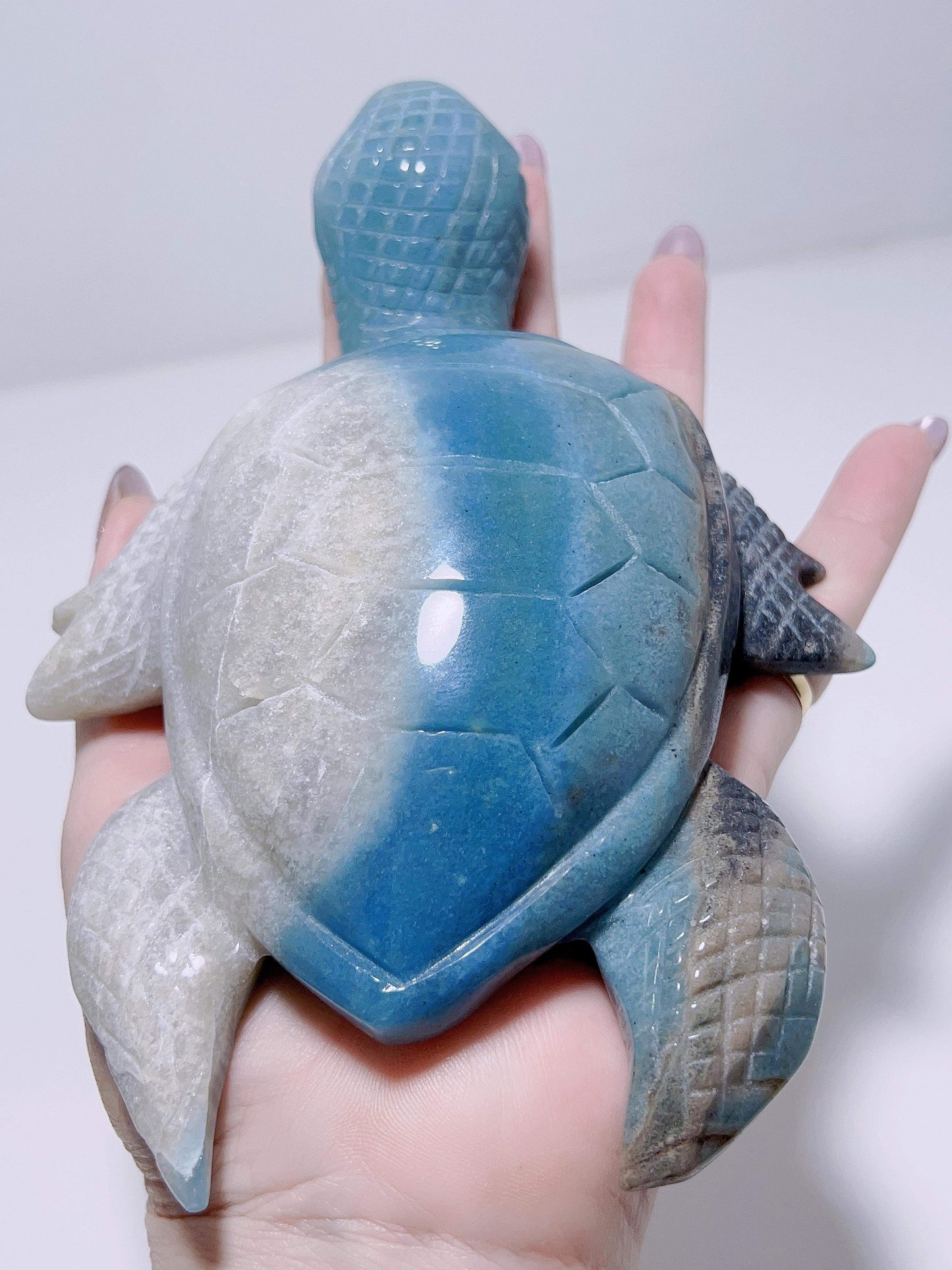 Trolleite Turtle 750G