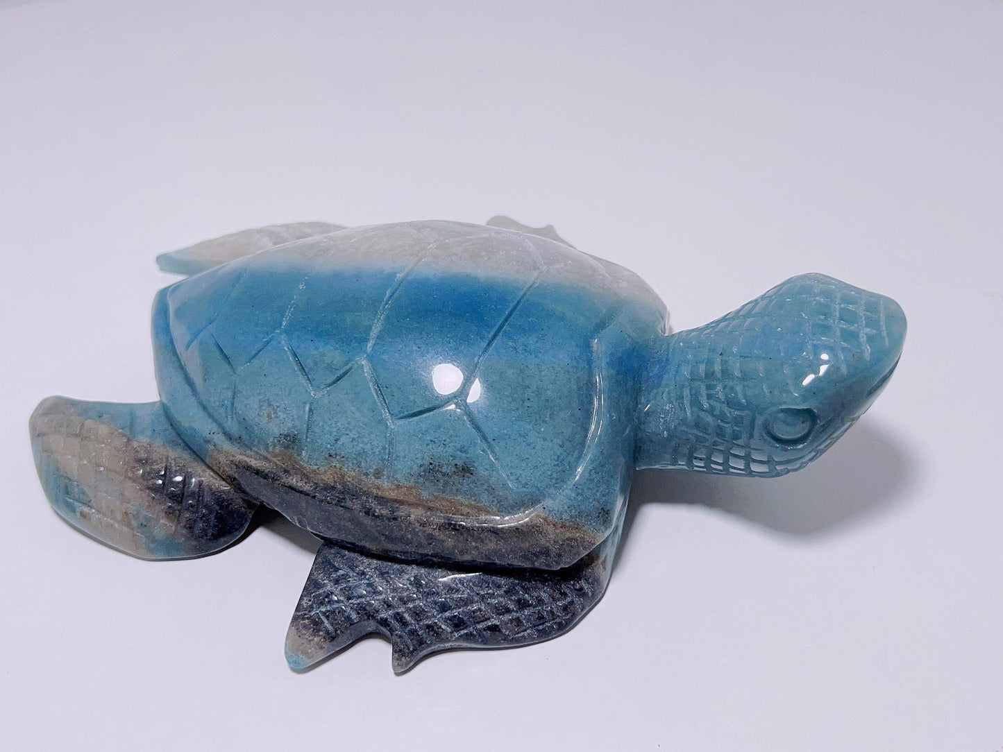 Trolleite Turtle 750G