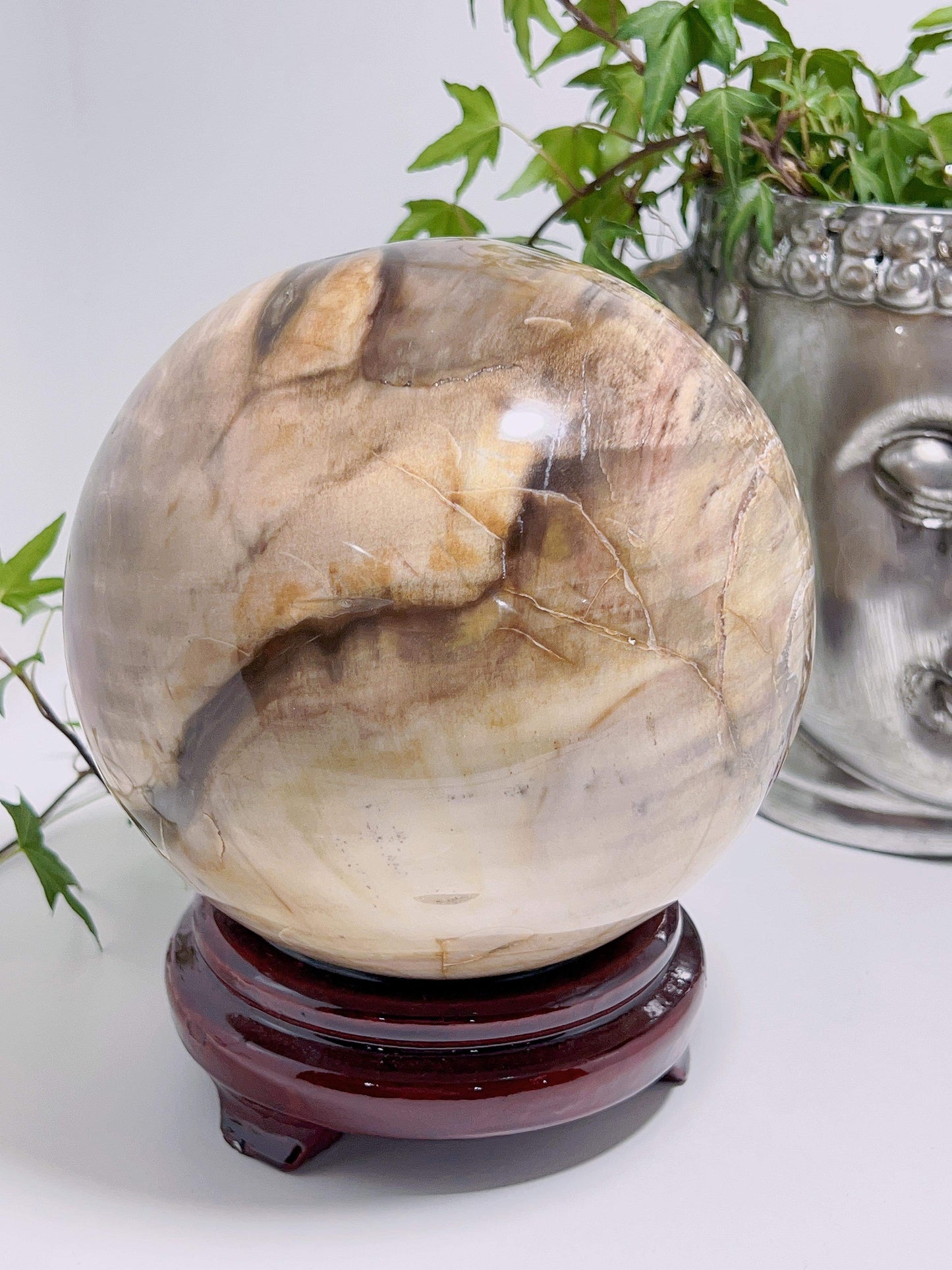 Petrified Wood Sphere 4.1KGS